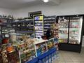Свободное назначение, магазины и бутики · 160 м² за 110 млн ₸ в Алматы, Алатауский р-н — фото 3
