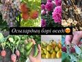 Отдельный дом · 3 комнаты · 91 м² · 10 сот., Халелова — Остановка Сельстрой за 17 млн ₸ в Атырау