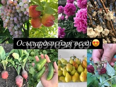 Отдельный дом · 3 комнаты · 91 м² · 10 сот., Халелова — Остановка Сельстрой за 17 млн ₸ в Атырау
