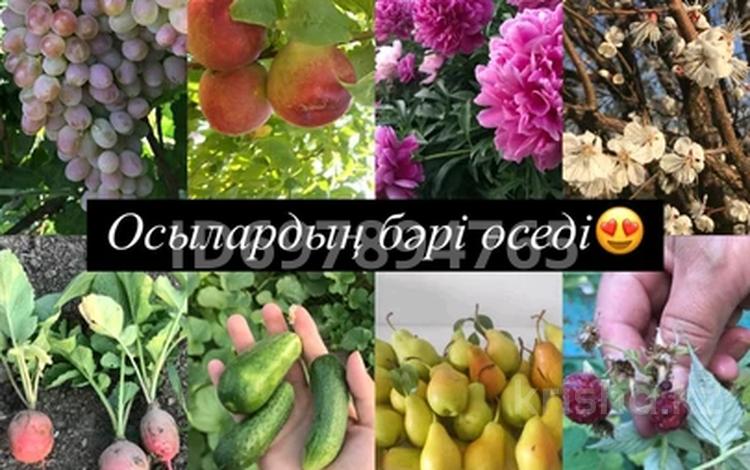 Отдельный дом · 3 комнаты · 91 м² · 10 сот., Халелова — Остановка Сельстрой за 17 млн ₸ в Атырау — фото 16
