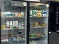 Продуктовый магазин · 105 м² за 13.9 млн ₸ в Астане, Нура р-н — фото 7