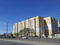 1-комнатная квартира · 40 м² · 4/9 этаж, Назарбаева 233 — Жаяу Мусы-Казправда за 170 000 ₸ в Павлодаре — фото 9