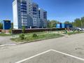 1-бөлмелі пәтер · 46.5 м² · 6/10 қабат, ул. Жибек жолы 11, бағасы: 170 000 ₸ в Усть-Каменогорске, Ульбинский — фото 15