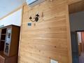Дом · 6 комнат · 550 м², Тургенский ущелье 5/1 за 120 000 ₸ — фото 59