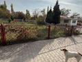 Отдельный дом · 4 комнаты · 216 м² · 10000 сот., Суйенбай за 200 млн ₸ в Узынагаш — фото 2