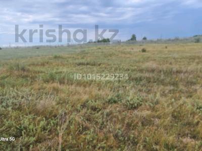Участок · 15 соток, Нет Нет — Сзади полицейский поста за 1.5 млн ₸ в Астане, Сарайшык р-н