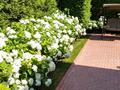 Жеке үй · 7 бөлме · 440 м² · 12.5 жүзд., Шұғыла ш/а., 2, бағасы: 650 млн ₸ в Алматы, Наурызбайский р-н — фото 8