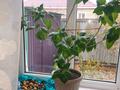 Жеке үй · 3 бөлме · 75 м² · 6 жүзд., Переулок куляш байсеитова 37, бағасы: 30 млн ₸ в Астане, Сарыарка р-н — фото 4