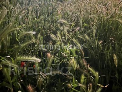 Жер телімі · 4.7 га, Алатау, бағасы: 35 млн ₸