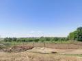 Сельское хозяйство • 600 м² за 70 млн 〒 в Сарыкемере — фото 7