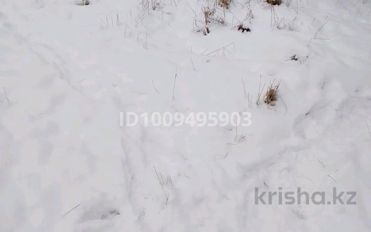 Жер телімі · 6 сотық, Тұрар саяжайлары, бағасы: 4 млн ₸ в Турарских дач — фото 2