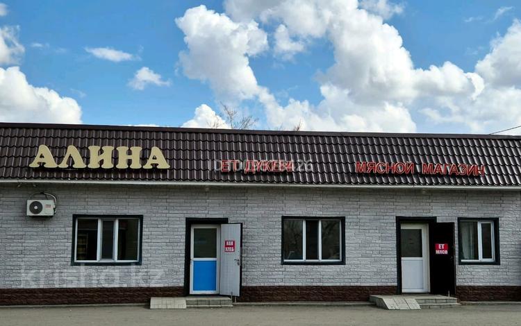 Дүкендер мен бутиктер, қоғамдық тамақтану орны · 300 м², бағасы: 95 млн 〒 в Шортандах — фото 2