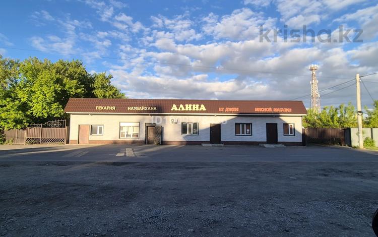 Дүкендер мен бутиктер, қоғамдық тамақтану орны · 300 м², бағасы: 85 млн ₸ в Шортандах — фото 11