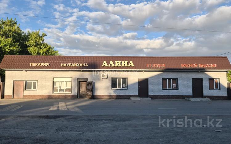 Дүкендер мен бутиктер, қоғамдық тамақтану орны · 300 м², бағасы: 80 млн ₸ в Шортандах — фото 12