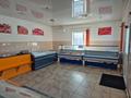 Дүкендер мен бутиктер, қоғамдық тамақтану орны · 300 м², бағасы: 85 млн ₸ в Шортандах — фото 6