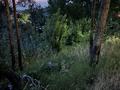 Участок · 10 соток, Бостандыкский р-н за 60 млн ₸ в Алматы — фото 3