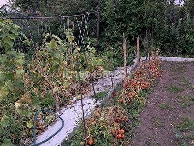 Отдельный дом · 4 комнаты · 100 м² · 6.5 сот., Бокейханова 44 — Янушкевича за 15 млн 〒 в Семее