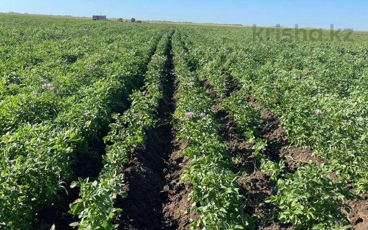 Участок · 237 га, Ждановка за 110 млн 〒 в Костанае — фото 7