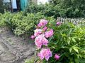 Жеке үй · 4 бөлме · 56.8 м² · 10 жүзд., Шелехова 15, бағасы: 13 млн ₸ в Усть-Каменогорске, Ульбинский — фото 16