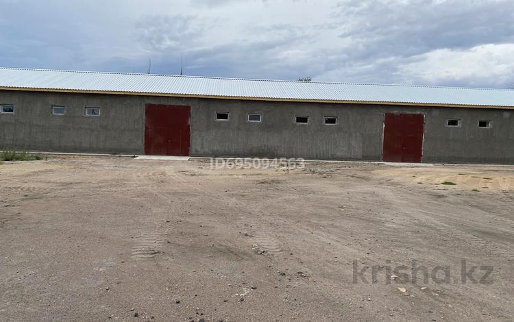 Қоймалар · 600 м², бағасы: 720 000 〒 в Балхаше — фото 6
