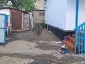 Отдельный дом · 7 комнат · 110 м² · 110 сот., улица Ленина 29 — Находится оот костанаия в 34 кмкже с селе ест много чего за 12.5 млн ₸ в Костанае — фото 5
