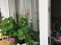 3-бөлмелі пәтер · 70 м² · 4/9 қабат, мкр Юго-Восток, Мкр Юго-Восток, мкр Гульдер 2 Таттимбета 8, бағасы: 35.5 млн ₸ в Караганде, Казыбек би р-н — фото 54