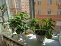 3-бөлмелі пәтер · 70 м² · 4/9 қабат, мкр Юго-Восток, Мкр Юго-Восток, мкр Гульдер 2 Таттимбета 8, бағасы: 35.5 млн ₸ в Караганде, Казыбек би р-н — фото 56
