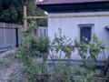 Отдельный дом · 3 комнаты · 47 м² · 5 сот., Деповская 30 за 10 млн ₸ в Усть-Каменогорске — фото 5