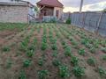 Часть дома · 3 комнаты · 92.4 м² · 7 сот., 20 южный проезд за 20 млн ₸ в Экибастузе — фото 3
