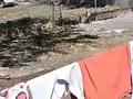 Отдельный дом · 4 комнаты · 90 м² · 6.5 сот., Балтагул 13 — Сокол дача саяжай за 10 млн ₸ в Жибек Жолы — фото 7