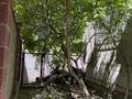 Жеке үй · 6 бөлме · 200 м² · 9 жүзд., 2 переулок Бауыржан Момышулы 37, бағасы: 50 млн ₸ в Таразе — фото 3