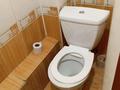 2-комнатная квартира · 60 м² · 3/3 этаж, Сейфуллина жумабаева 34 — Остановка за поликлиникой за 250 000 ₸ в Алматы, Турксибский р-н — фото 5