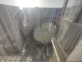 3-комнатная квартира, 98 м², 10/10 этаж, Сейфуллина 51/26 за 60 млн 〒 в Алматы, Турксибский р-н — фото 5