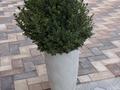 2-бөлмелі пәтер · 55.9 м² · 4/4 қабат, Уч. №50/3 — Шоры, бағасы: 30 000 ₸ в Актау — фото 21