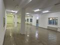 Дүкендер мен бутиктер · 242 м², бағасы: 65 млн ₸ в  — фото 5