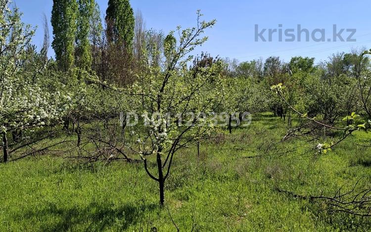 Участок · 26 соток, Алатау 2 126 за 136 млн ₸ в Шымкенте — фото 2