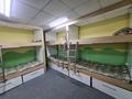 10 комнат · 400 м² · 2 этаж, Кармысова 82 — Кұрмангазы за 5 000 ₸ в Алматы, Медеуский р-н — фото 13