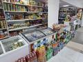 Магазины и бутики, склады · 72 м² за 30 млн ₸ в Аркалыке — фото 6