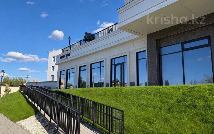 Еркін · 220 м², бағасы: 500 млн ₸ в Астане, Алматы р-н — фото 3