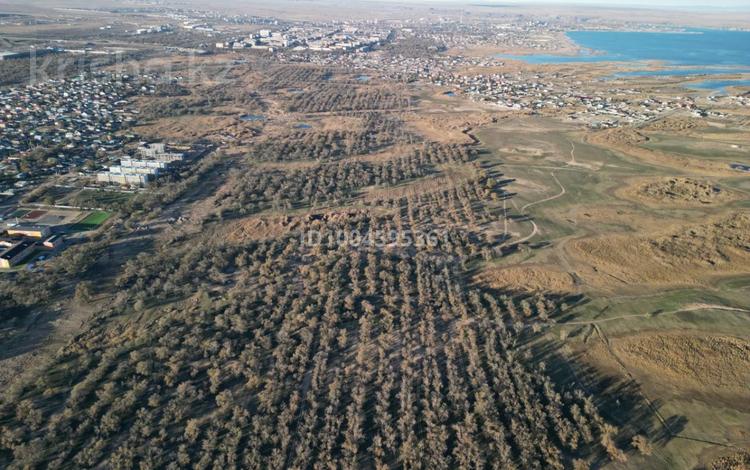 Участок · 3.2 га, Конаев за 350 млн 〒 — фото 2