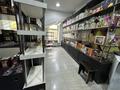 Свободное назначение, магазины и бутики · 40 м² за 50 000 ₸ в Уральске — фото 6