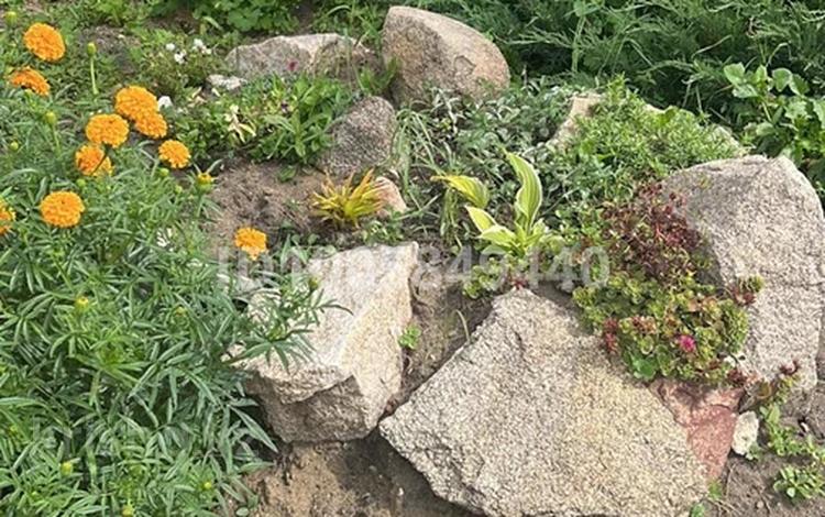 Дача · 2 комнаты · 35 м² · 4.5 сот., Кожаберген жырау шоссе — Напротив озера Пестрое за 13 млн 〒 в Петропавловске — фото 2