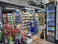 Готовый бизнес продуктовый магазин Астана · 60 м² за 10 млн ₸ в Есильский р-н — фото 14