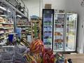 Готовый бизнес продуктовый магазин Астана · 60 м² за 10 млн ₸ в Есильский р-н — фото 2