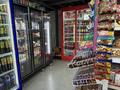 Готовый бизнес продуктовый магазин Астана · 60 м² за 10 млн ₸ в Есильский р-н — фото 7