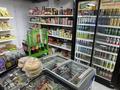 Готовый бизнес продуктовый магазин Астана · 60 м² за 10 млн ₸ в Есильский р-н — фото 9