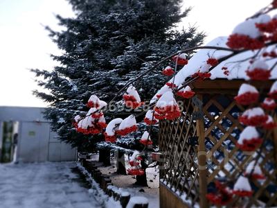 Отдельный дом · 6 комнат · 180 м², Садовод 465а за 500 000 〒 в Костанае