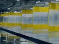 Готовый бизнес · 800 м² за 50 млн ₸ в Астане, Есильский р-н — фото 3