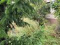 Жеке үй · 6 бөлме · 600 м² · 34 жүзд., Гаухартас 2 — Центральный парк, бағасы: 600 млн ₸ в Астане, Есильский р-н — фото 27