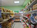 Магазины и бутики • 85 м² за 50 млн 〒 в Астане, Алматы р-н — фото 3